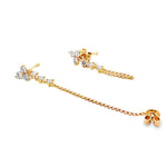 Aretes Berenice
