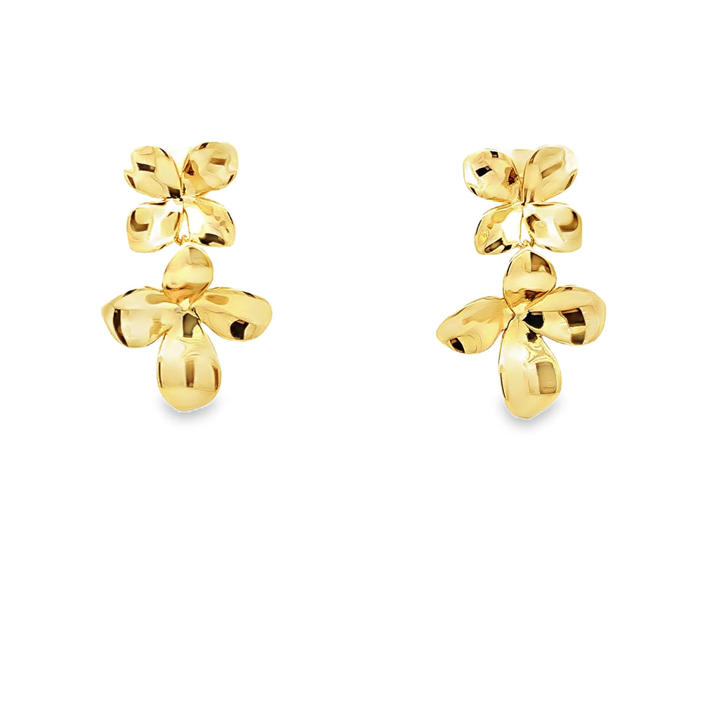 Aretes Amelia