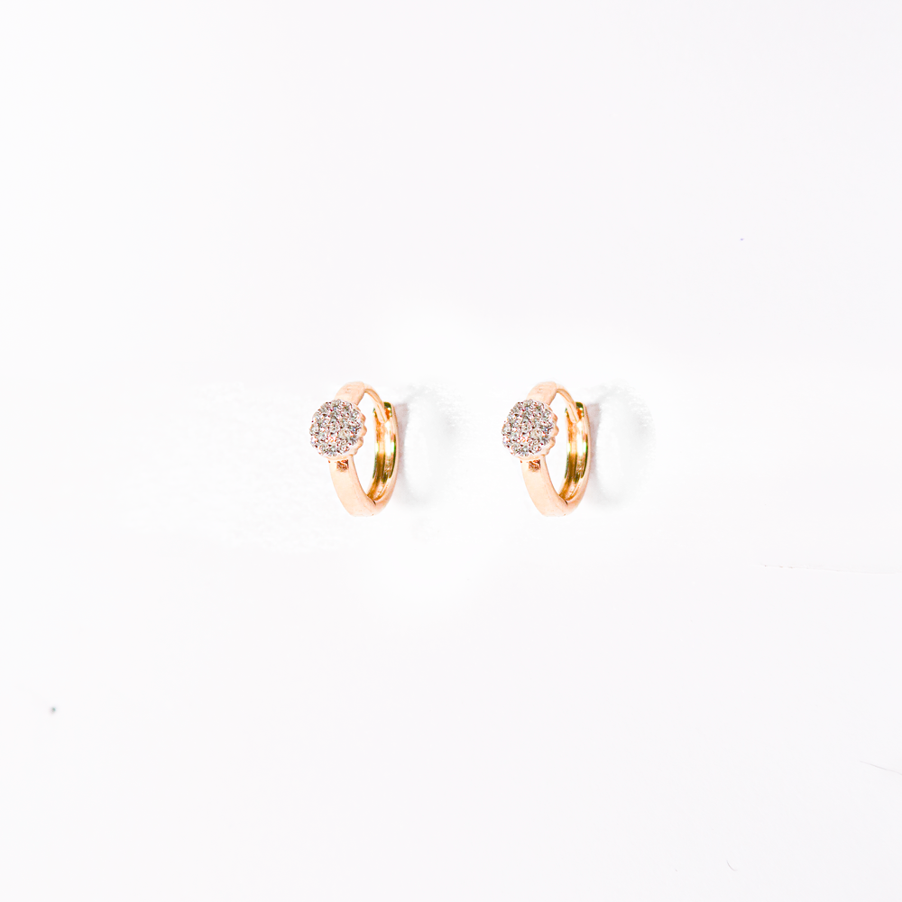Aretes Eugenia