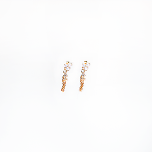 Aretes Berenice